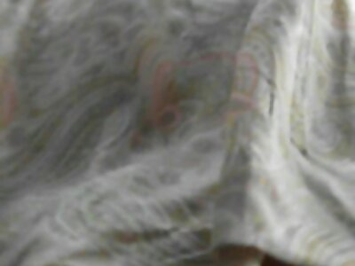 ছোট শ্যামাঙ্গিনী তার প্রতিবেশী বাংলা চুদা চুদি সন্তুষ্ট